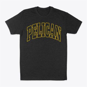 Pelican Wisconsin Trendy Block Classic Dad T-Shirt