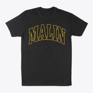 Malin Oregon Trendy Block Classic Dad T-Shirt