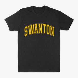 Swanton Ohio Varsity Classic Dad T-Shirt