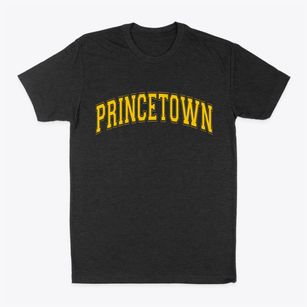 Princetown New York Varsity Classic Dad T-Shirt