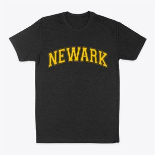 Newark Delaware Varsity Classic Dad T-Shirt