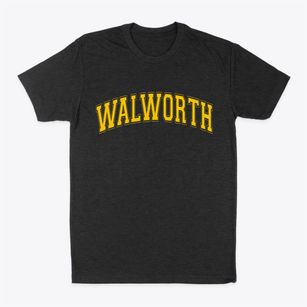 Walworth New York Varsity Classic Dad T-Shirt