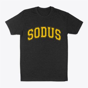Sodus New York Varsity Classic Dad T-Shirt