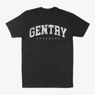 Gentry Arkansas Urban Vibe Classic Dad T-Shirt