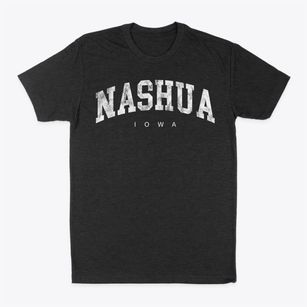 Nashua Iowa Urban Vibe Classic Dad T-Shirt