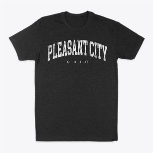 Pleasant City Ohio Urban Vibe Classic Dad T-Shirt