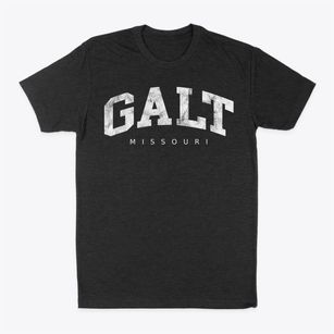 Galt Missouri Urban Vibe Classic Dad T-Shirt