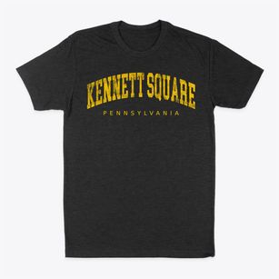 Kennett Square Pennsylvania Urban Vibe Classic Dad T-Shirt