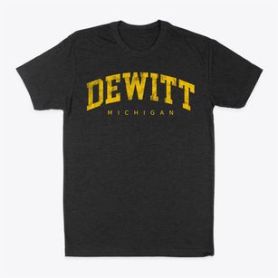 Dewitt Michigan Urban Vibe Classic Dad T-Shirt