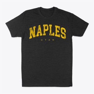Naples Utah Urban Vibe Classic Dad T-Shirt