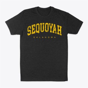 Sequoyah Oklahoma Urban Vibe Classic Dad T-Shirt