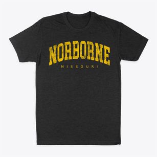 Norborne Missouri Urban Vibe Classic Dad T-Shirt