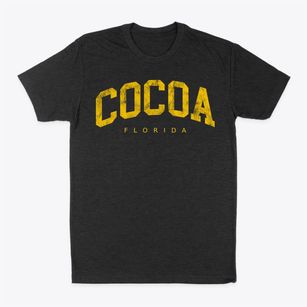 Cocoa Florida Urban Vibe Classic Dad T-Shirt