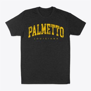 Palmetto Louisiana Urban Vibe Classic Dad T-Shirt