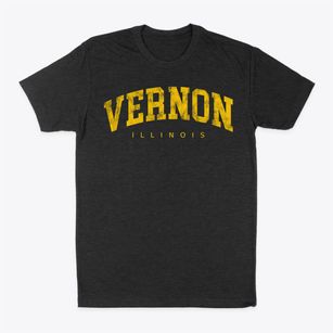 Vernon Illinois Urban Vibe Classic Dad T-Shirt