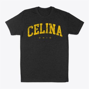 Celina Ohio Urban Vibe Classic Dad T-Shirt