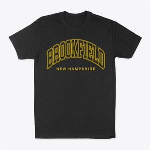 Brookfield New Hampshire Inline Classic Dad T-Shirt