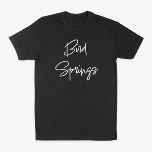 Bird Springs Missouri Freestyle Classic Dad T-Shirt