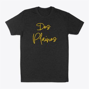 Des Plaines Illinois Freestyle Classic Dad T-Shirt