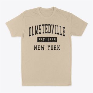 Olmstedville New York Classic Established Classic Dad T-Shirt