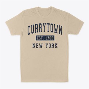 Currytown New York Classic Established Classic Dad T-Shirt