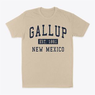 Gallup New Mexico Classic Established Classic Dad T-Shirt