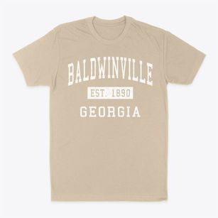 Baldwinville Georgia Classic Established Classic Dad T-Shirt