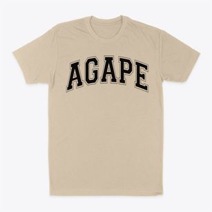 Agape Christian Academy Varsity Arch Classic Dad T-Shirt