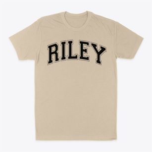 Riley Elementary School Varsity Arch Classic Dad T-Shirt