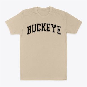 Buckeye High School Varsity Arch Classic Dad T-Shirt