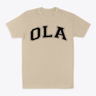 Our Lady The Assumption School Varsity Arch Classic Dad T-Shirt