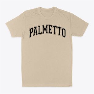 Palmetto Baptist Academy Varsity Arch Classic Dad T-Shirt