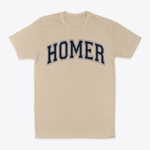 Homer Intermediate Junior High School Varsity Arch Classic Dad T-Shirt