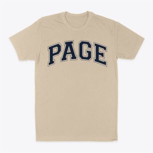 Page Private School Varsity Arch Classic Dad T-Shirt