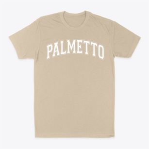 Palmetto Elementary School Varsity Arch Classic Dad T-Shirt