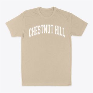 Chestnut Hill Elementary School Varsity Arch Classic Dad T-Shirt