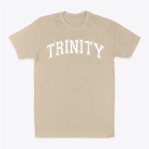 Trinity Christian School Varsity Arch Classic Dad T-Shirt