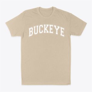 Buckeye Central High Varsity Arch Classic Dad T-Shirt