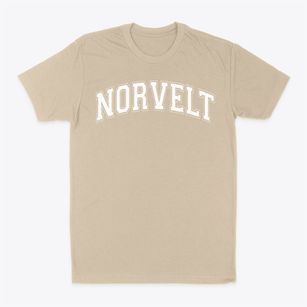 Norvelt Elementary School Varsity Arch Classic Dad T-Shirt