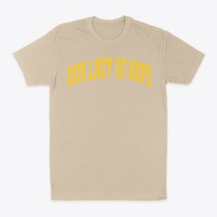 Our Lady Of Hope Parish Varsity Arch Classic Dad T-Shirt