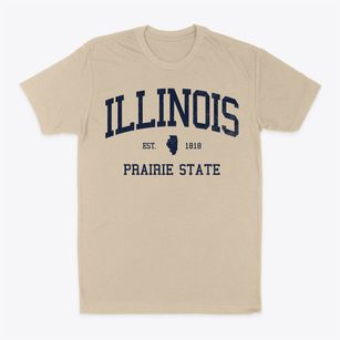  Illinois Slogan Classic Dad T-Shirt