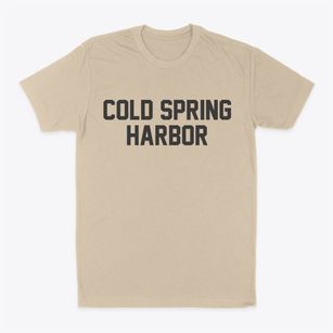 Cold Spring Harbor New York Classic Block Classic Dad T-Shirt