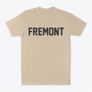 Fremont New Hampshire Classic Block Classic Dad T-Shirt