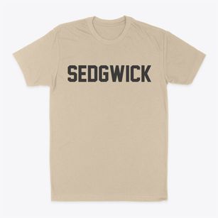 Sedgwick Kansas Classic Block Classic Dad T-Shirt