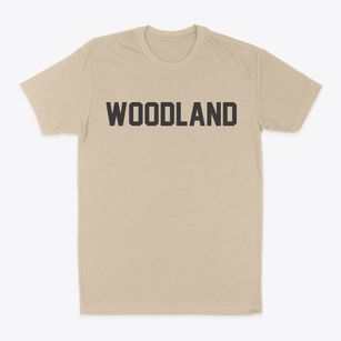 Woodland Wisconsin Classic Block Classic Dad T-Shirt