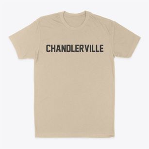 Chandlerville Illinois Classic Block Classic Dad T-Shirt
