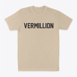 Vermillion Minnesota Classic Block Classic Dad T-Shirt