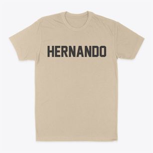 Hernando Mississippi Classic Block Classic Dad T-Shirt