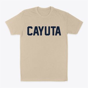 Cayuta New York Classic Block Classic Dad T-Shirt