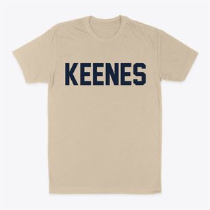 Keenes Illinois Classic Block Classic Dad T-Shirt